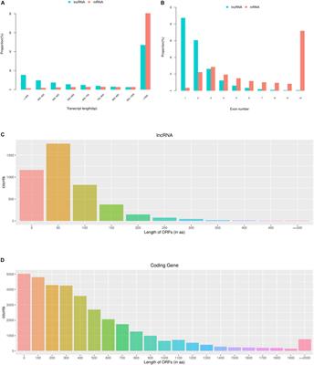 Comparative Transcriptome Profiling of mRNA and lncRNA of Ovaries in High and Low Egg Production Performance in Domestic Pigeons (Columba livia)